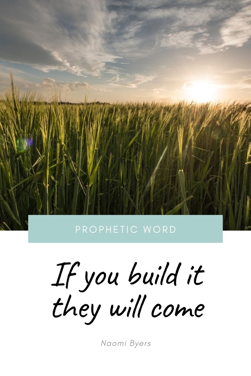 If You Build It, They Will Come Naomi Byers Ministries